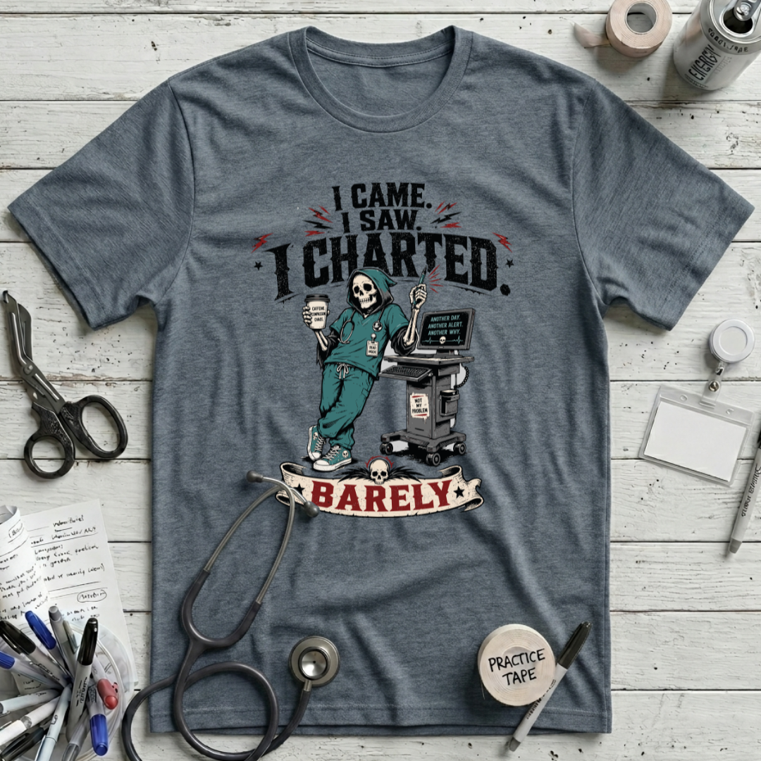 I Came I Saw I Charted T-Shirt - Heather Slate